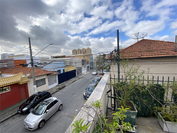 Foto REO1094887