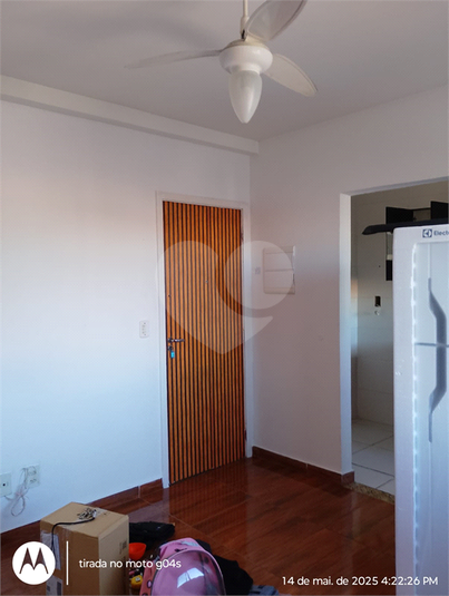 Foto REO1094907
