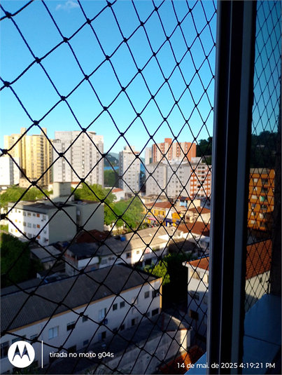 Foto REO1094907