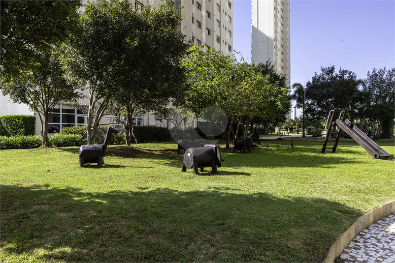 Foto REO1094920