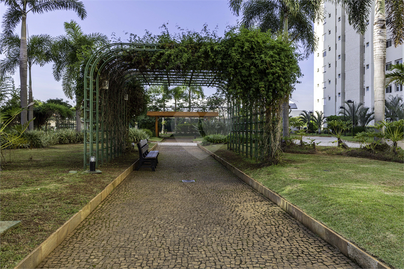 Foto REO1094920