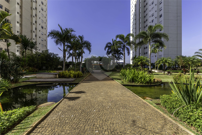 Foto REO1094920
