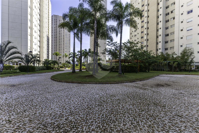 Foto REO1094920