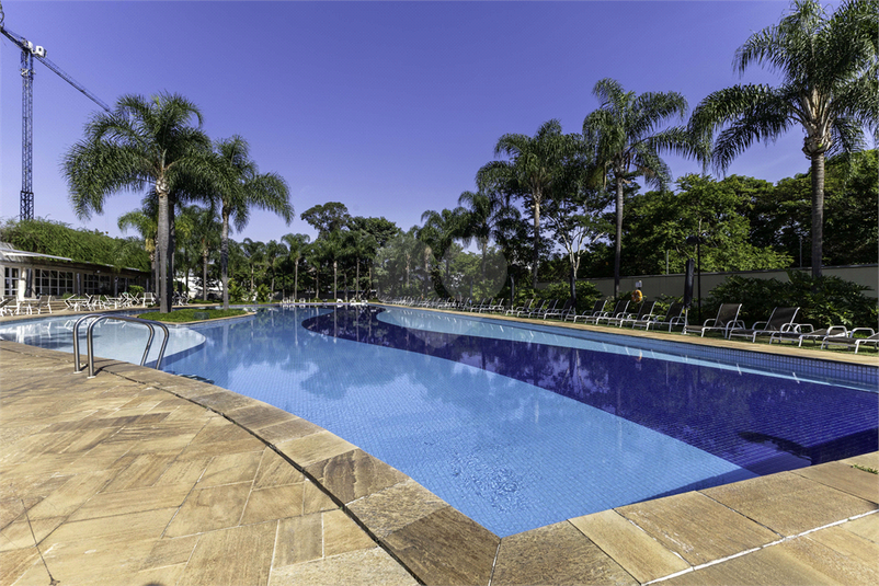 Foto REO1094920