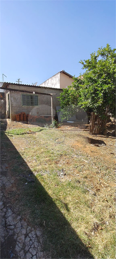 Foto REO1094927