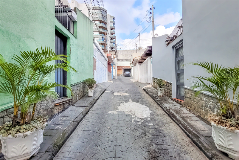 Foto REO1094930