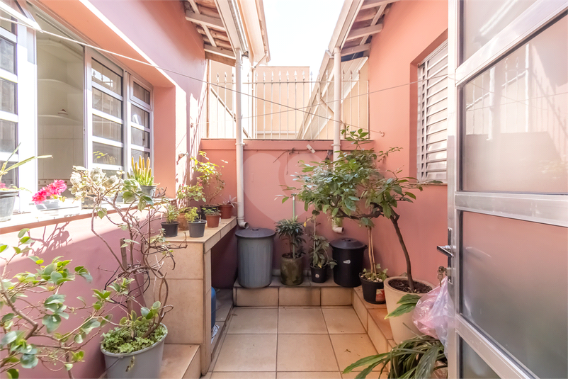Foto REO1094930