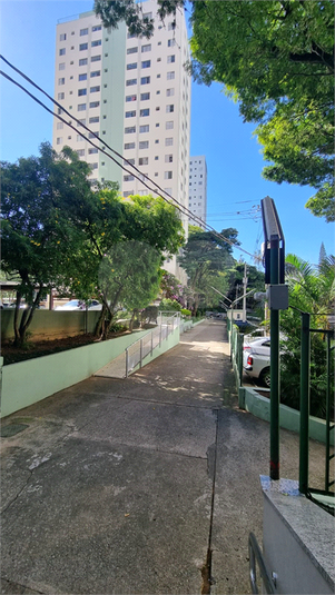 Foto REO1094940