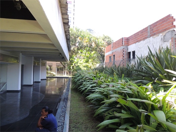 Foto REO1094944
