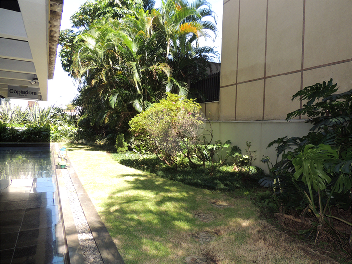 Foto REO1094944