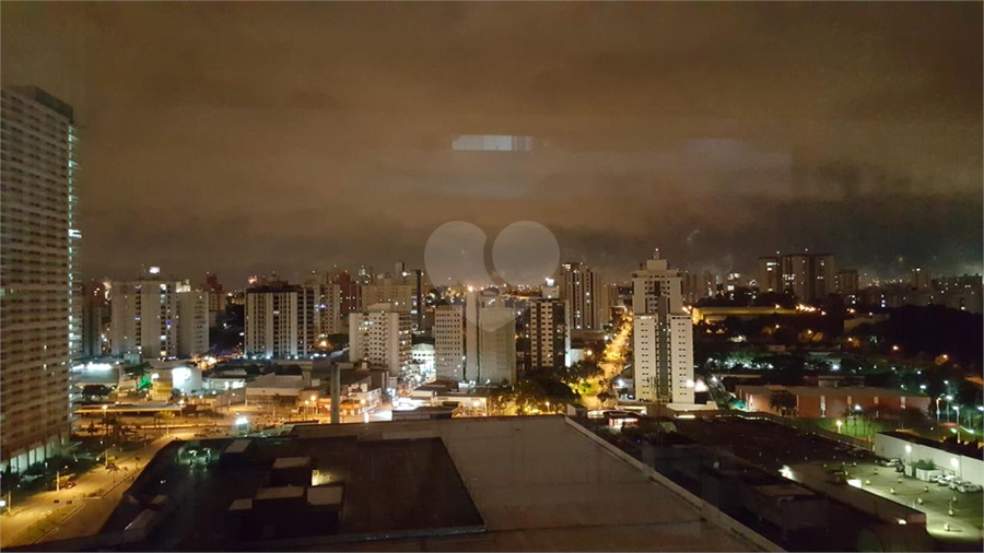 Foto REO1094946
