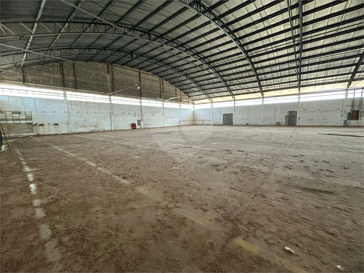 Foto REO1094958