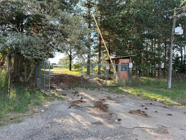 Foto REO1094958