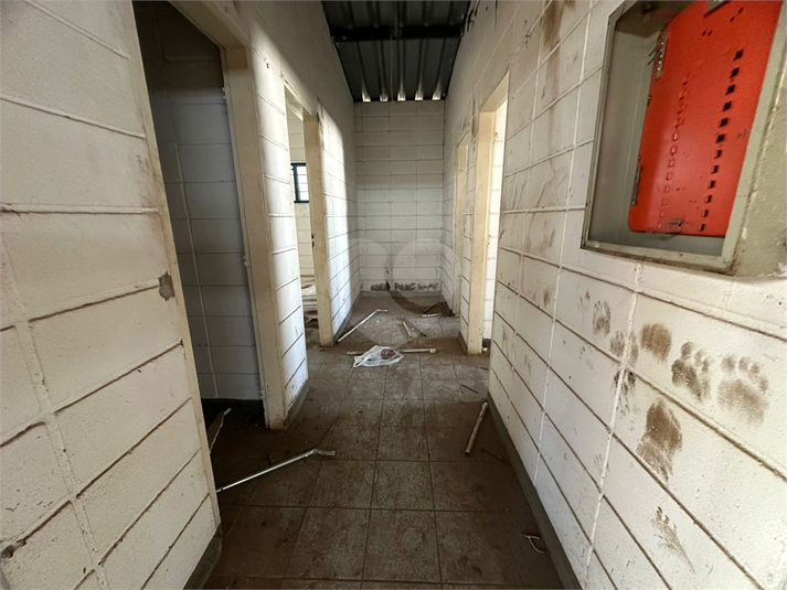 Foto REO1094958