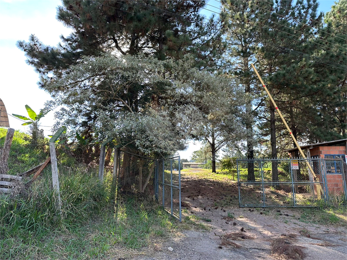 Foto REO1094958