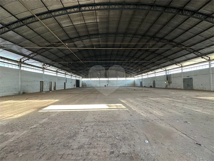 Foto REO1094958