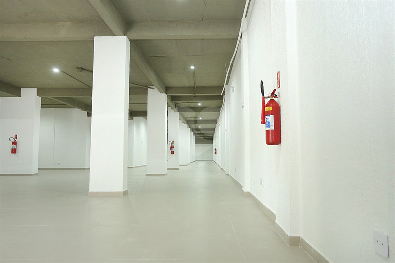 Foto REO1094960