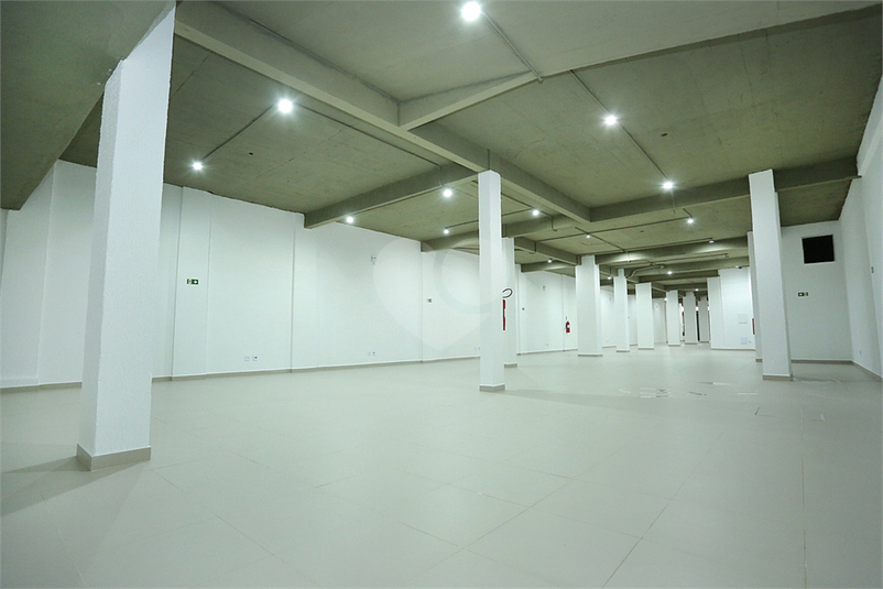 Foto REO1094960