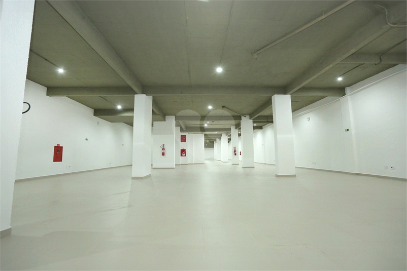 Foto REO1094960