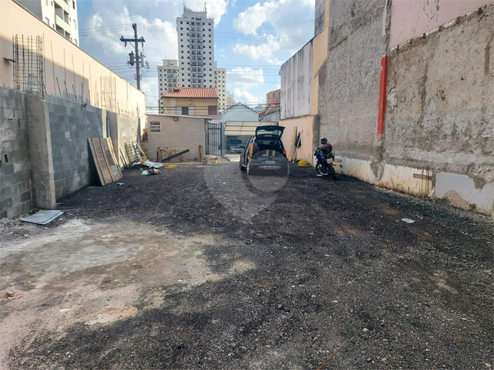 Foto REO1094992