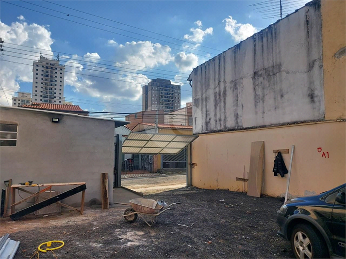 Foto REO1094992