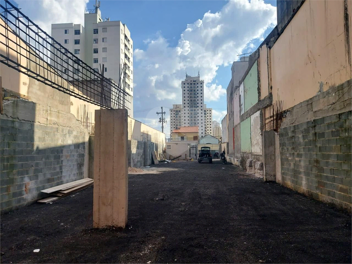 Foto REO1094992