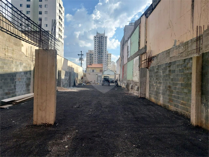 Foto REO1094992