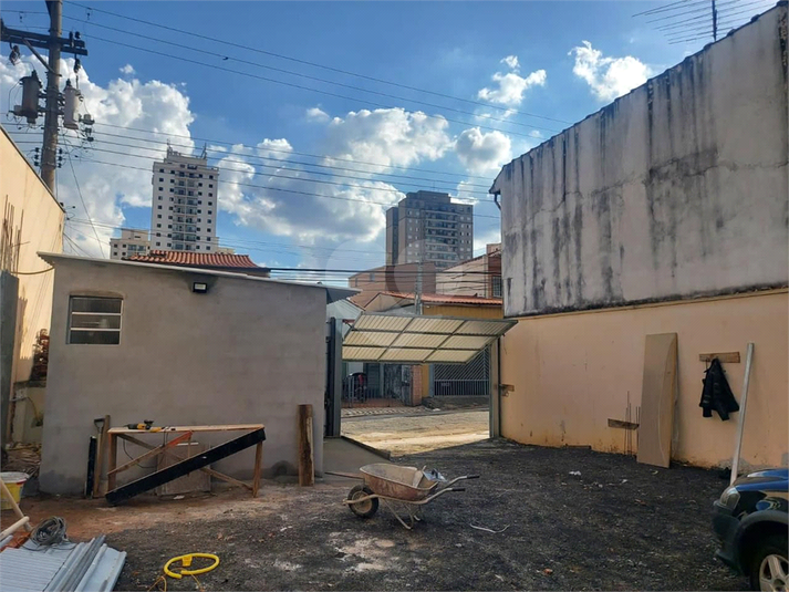 Foto REO1094992