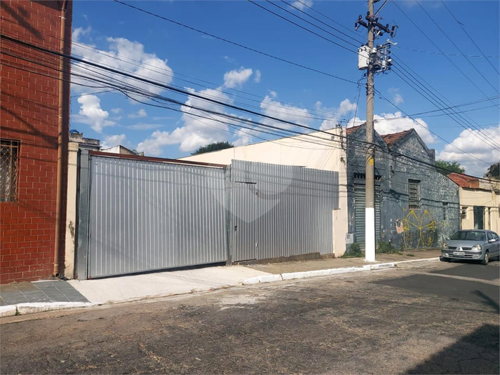 Foto REO1094992