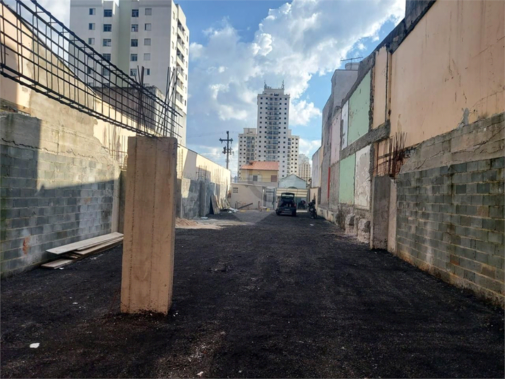 Foto REO1094992