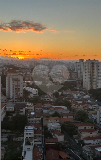 Foto REO1094994