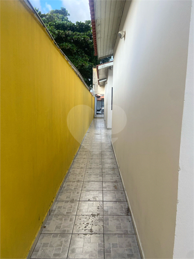 Foto REO1095002