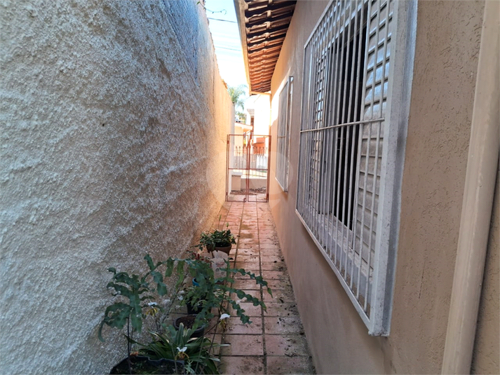 Foto REO1095005