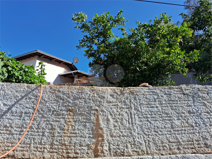 Foto REO1095005