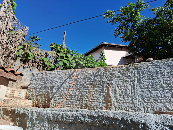 Foto REO1095005
