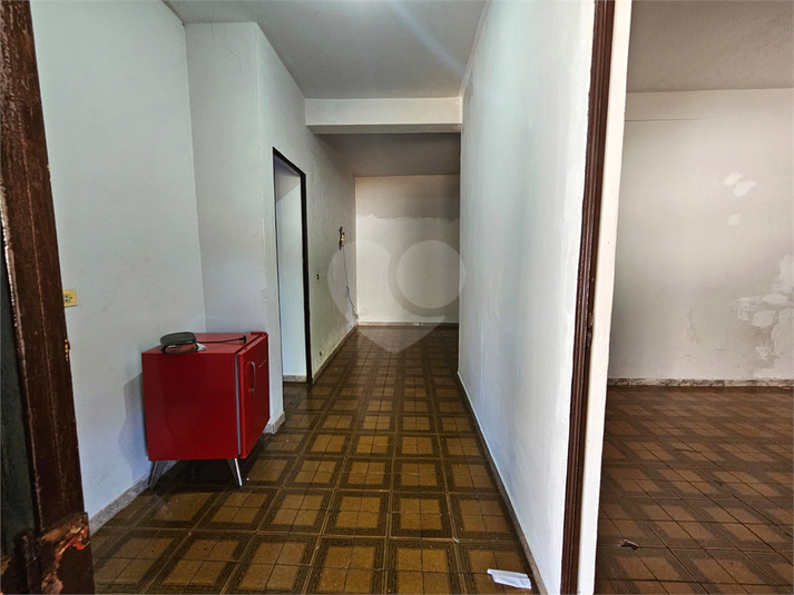 Foto REO1095006