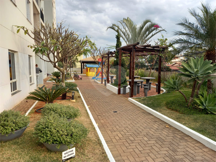 Foto REO1095009