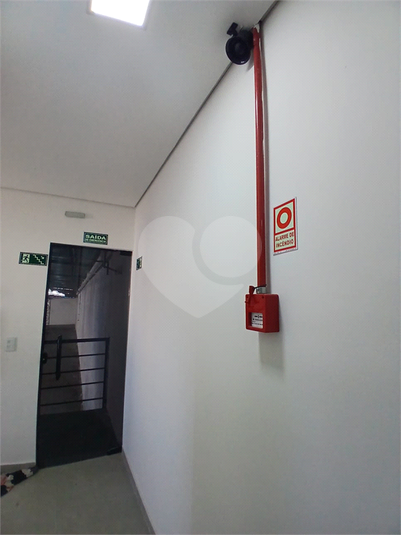 Foto REO1095022
