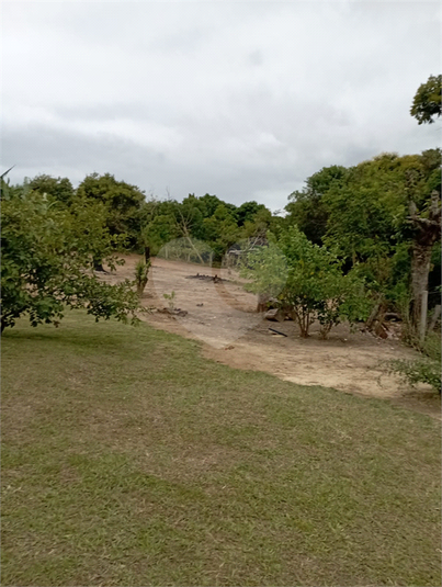 Foto REO1095032