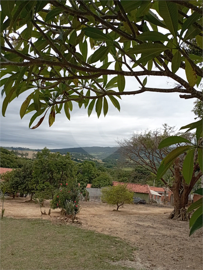 Foto REO1095032