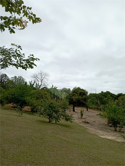 Foto REO1095032