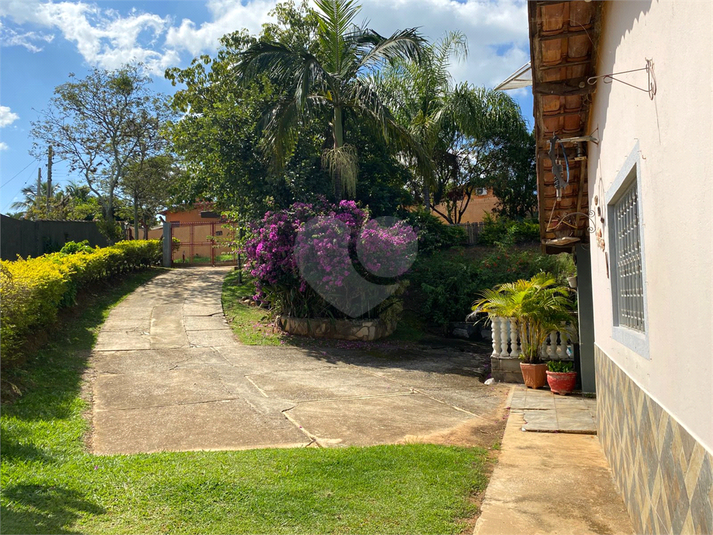 Foto REO1095051