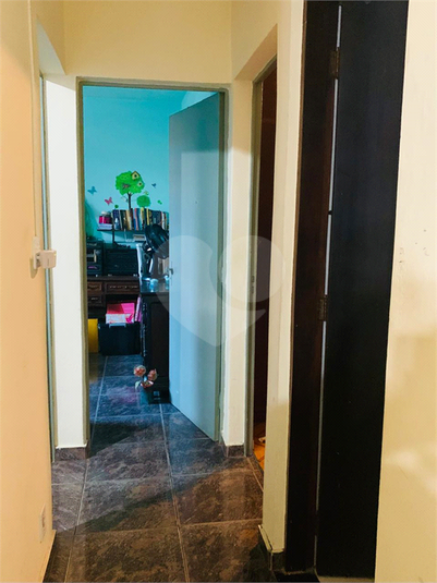 Foto REO1095053