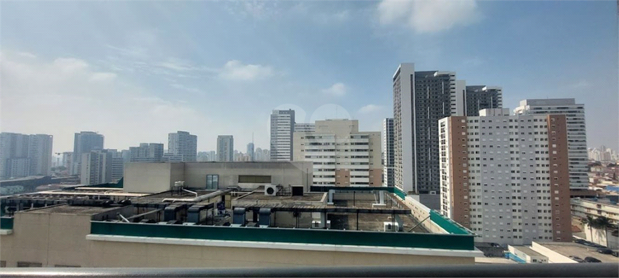 Foto REO1095062