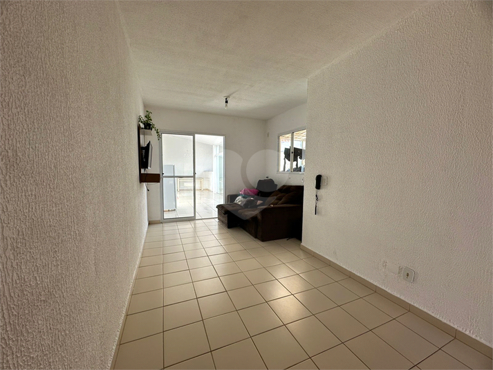 Foto REO1095068