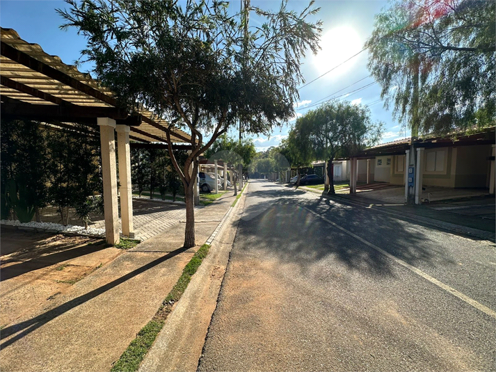 Foto REO1095068