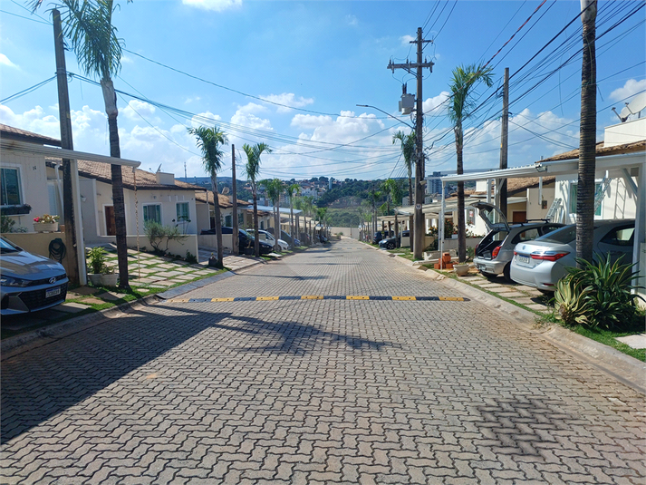Foto REO1095069
