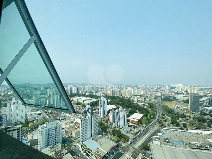 Foto REO1095109