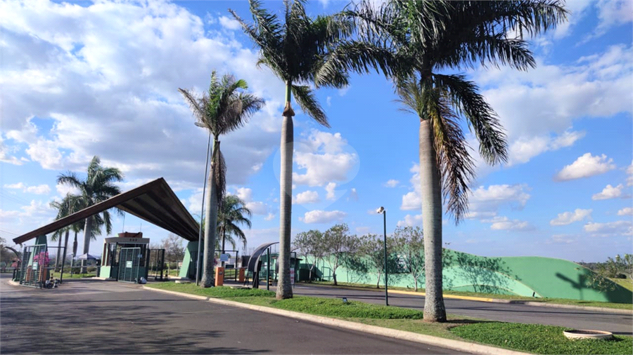 Foto REO1095117