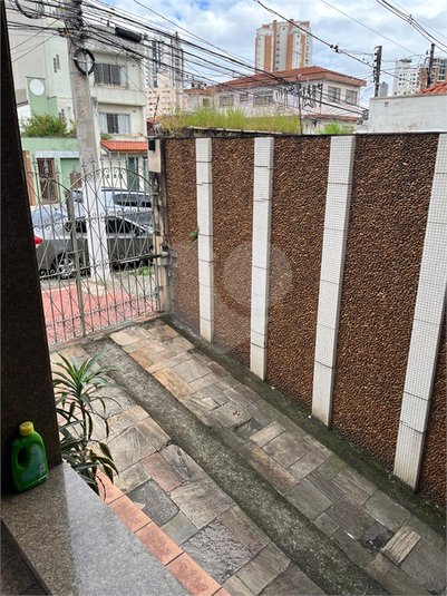 Foto REO1095122